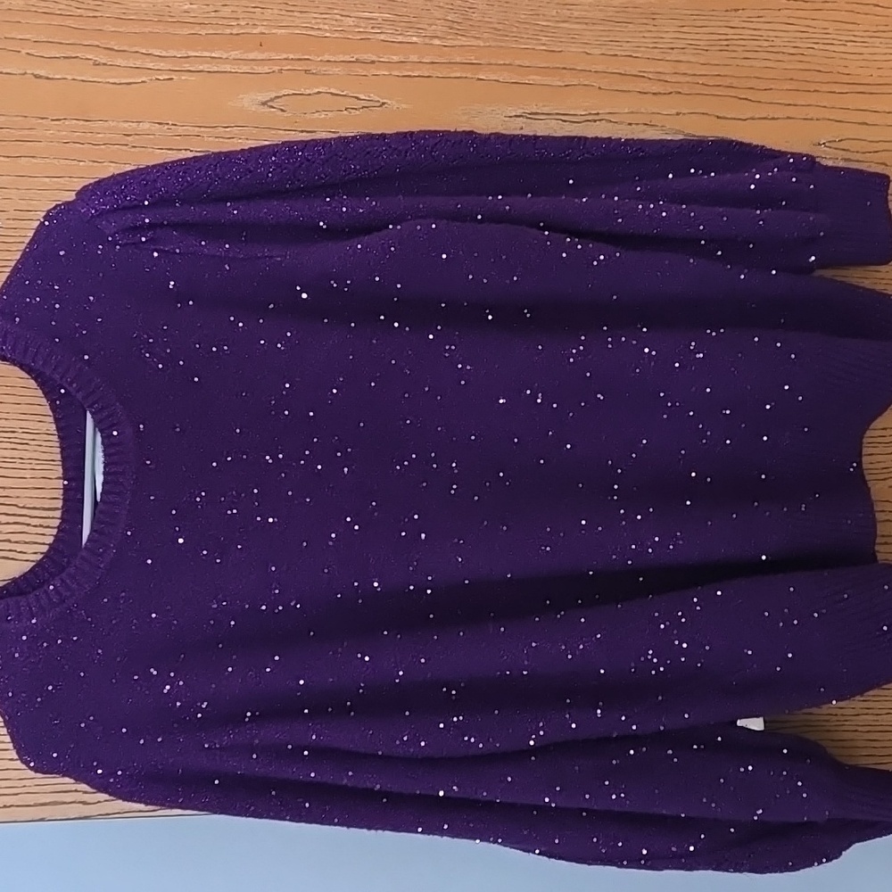 Liz Claiborne Sequin Purple Sweater Size 2X